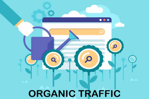 Organic SEO Growth